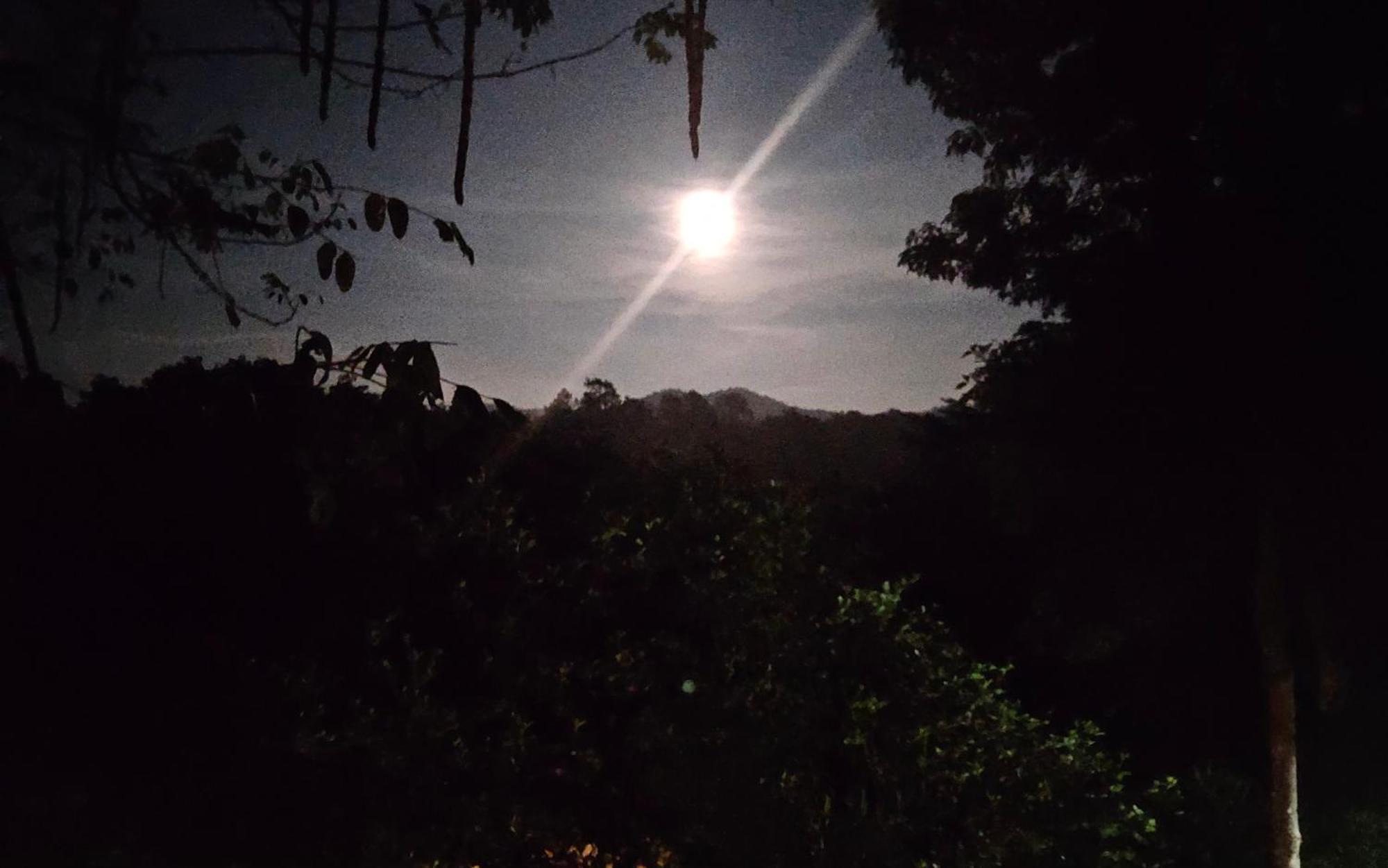 Balmy Hideout Cafe & Homestay Ban Huai Kaeo Bagian luar foto