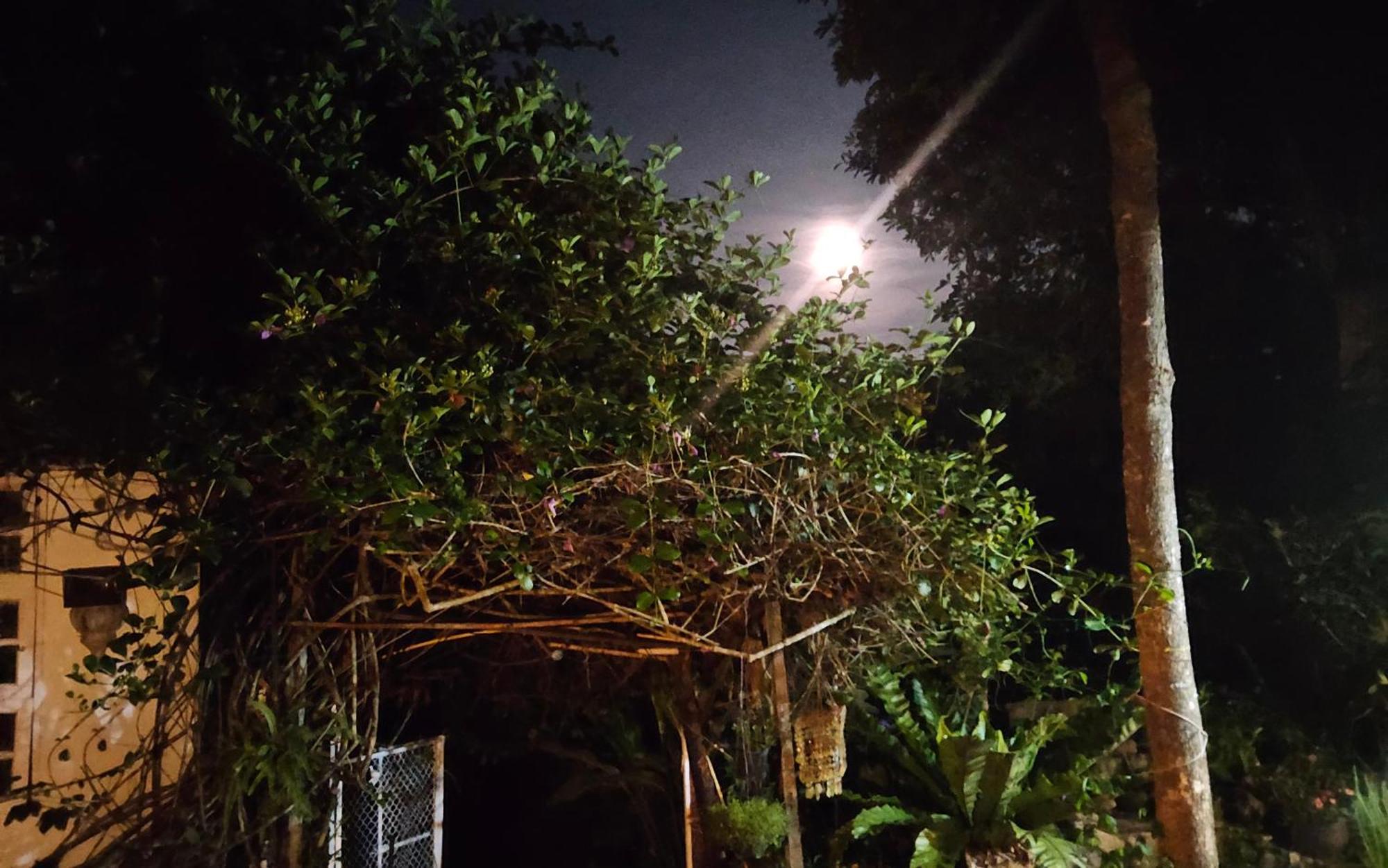 Balmy Hideout Cafe & Homestay Ban Huai Kaeo Bagian luar foto