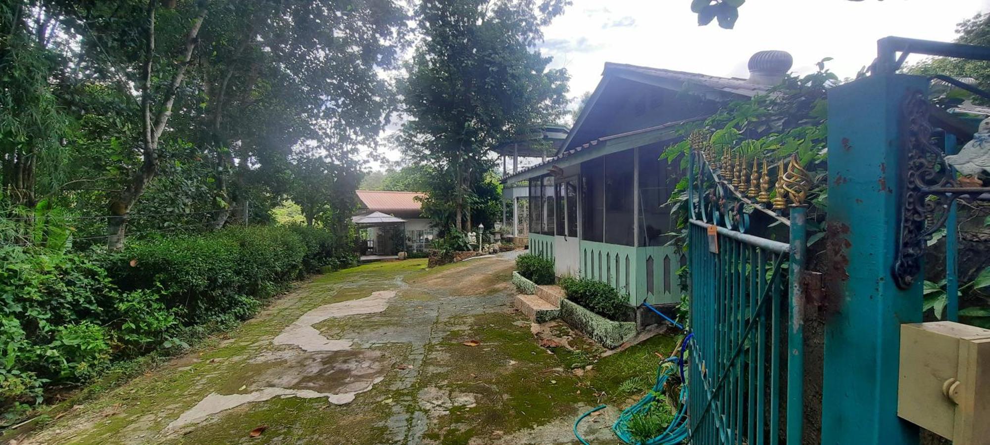 Balmy Hideout Cafe & Homestay Ban Huai Kaeo Bagian luar foto
