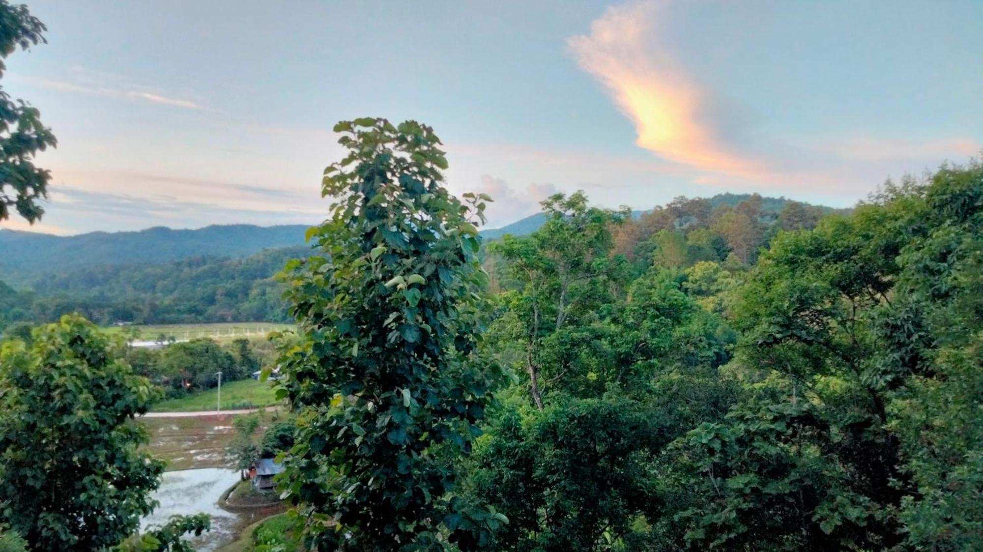 Balmy Hideout Cafe & Homestay Ban Huai Kaeo Bagian luar foto
