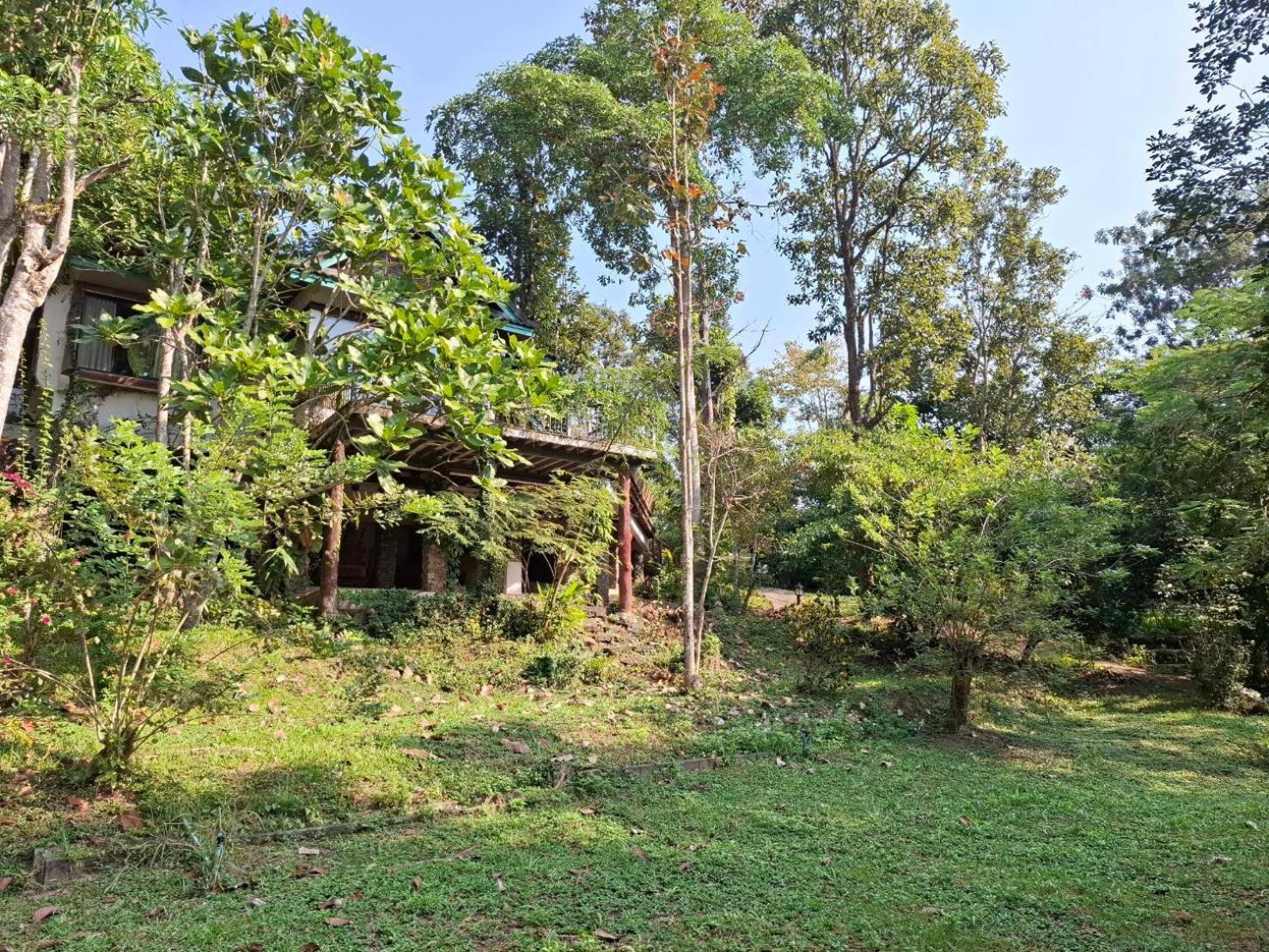 Balmy Hideout Cafe & Homestay Ban Huai Kaeo Bagian luar foto