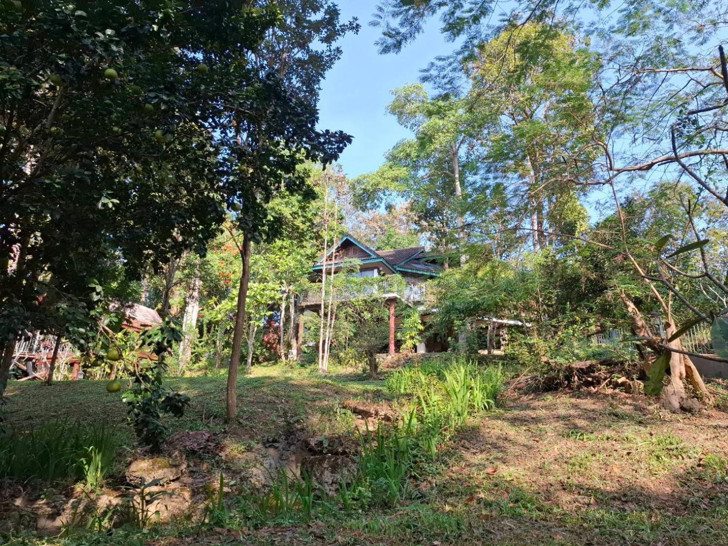 Balmy Hideout Cafe & Homestay Ban Huai Kaeo Bagian luar foto