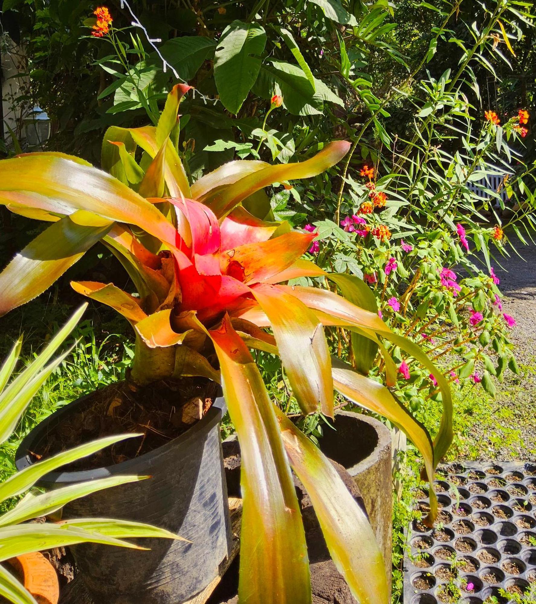 Balmy Hideout Cafe & Homestay Ban Huai Kaeo Bagian luar foto